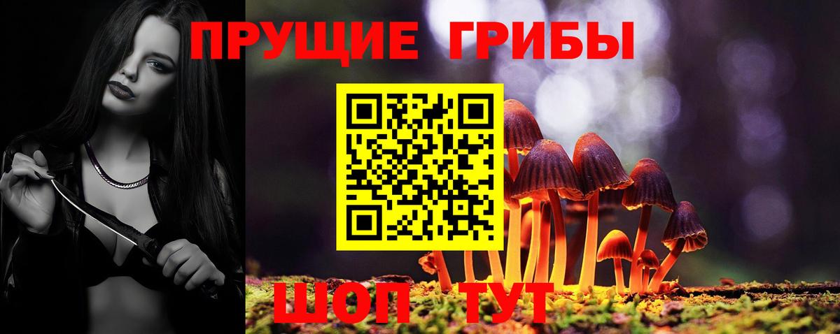 Гуково  Галлюциногенные грибы прущие грибы  Вход с VPN 